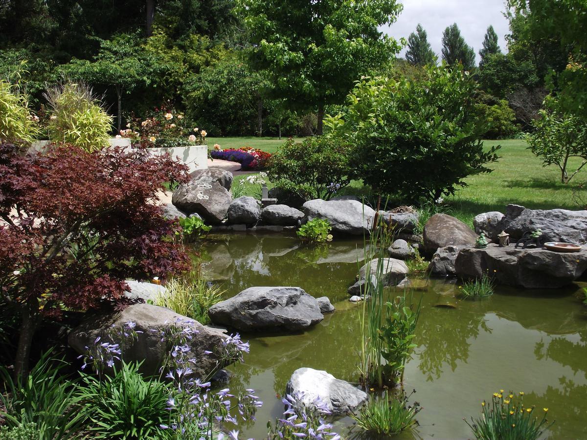 Shamrock Garden B&B Airport Christchurch Exterior foto
