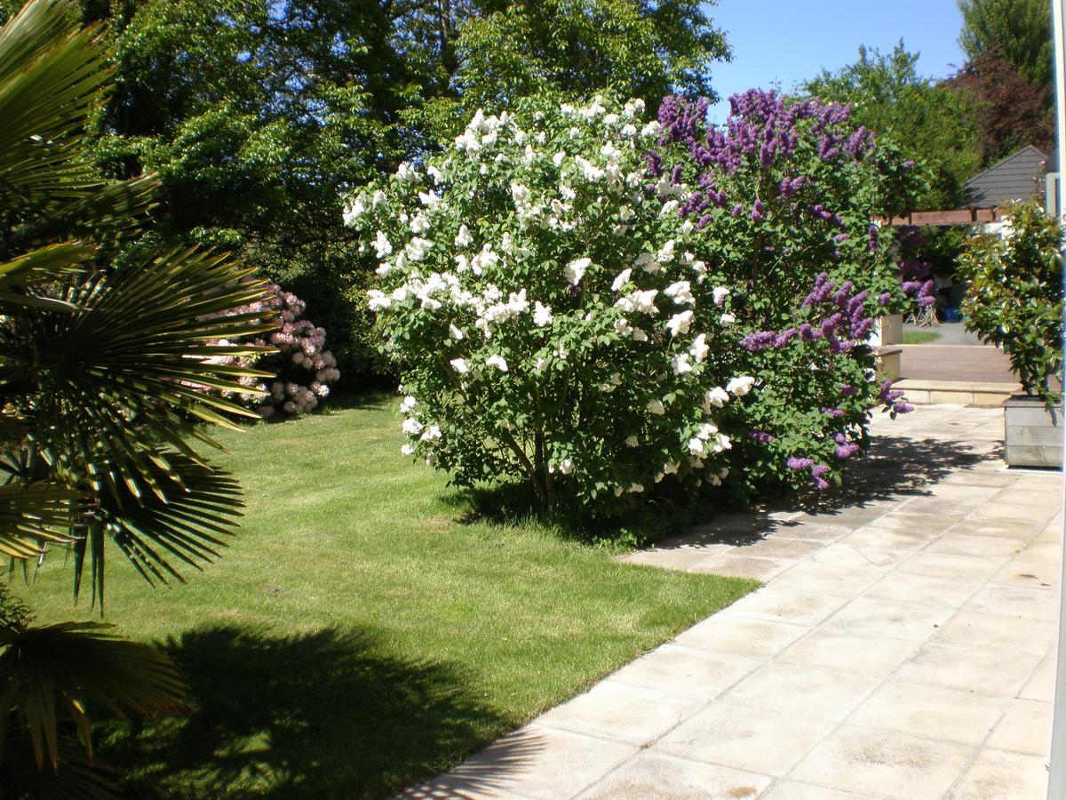 Shamrock Garden B&B Airport Christchurch Exterior foto
