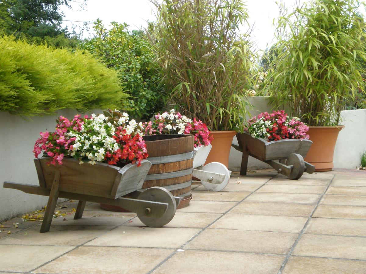 Shamrock Garden B&B Airport Christchurch Exterior foto