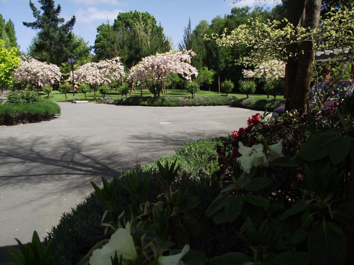 Shamrock Garden B&B Airport Christchurch Exterior foto