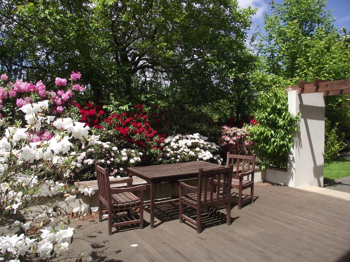 Shamrock Garden B&B Airport Christchurch Exterior foto